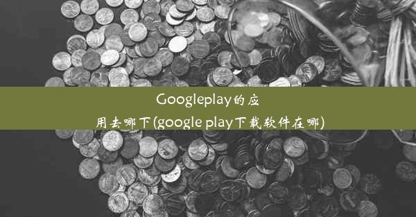 Googleplay的应用去哪下(google play下载软件在哪)