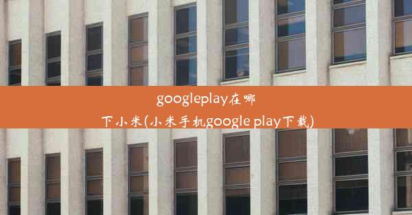 googleplay在哪下小米(小米手机google play下载)