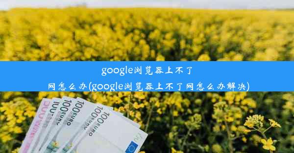 google浏览器上不了网怎么办(google浏览器上不了网怎么办解决)