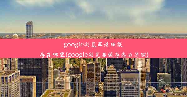 google浏览器清理缓存在哪里(google浏览器缓存怎么清理)