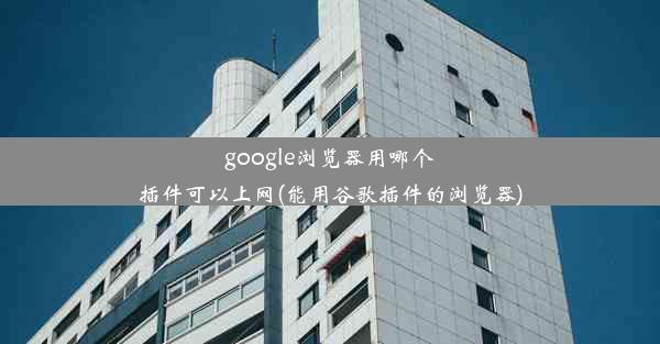 google浏览器用哪个插件可以上网(能用谷歌插件的浏览器)