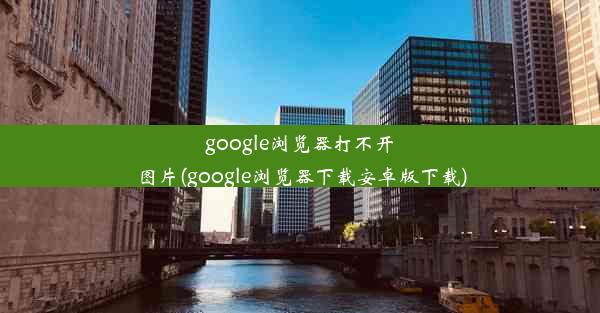 google浏览器打不开图片(google浏览器下载安卓版下载)