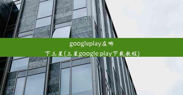 googleplay在哪下三星(三星google play下载教程)