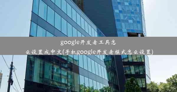 google开发者工具怎么设置成中文(手机google开发者模式怎么设置)