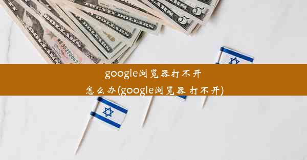 google浏览器打不开怎么办(google浏览器 打不开)