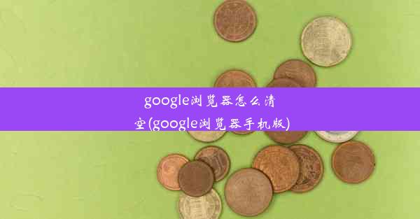 google浏览器怎么清空(google浏览器手机版)