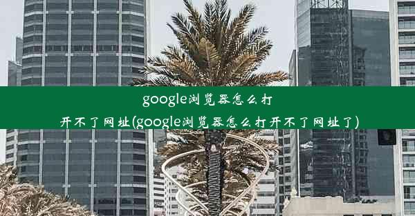 google浏览器怎么打开不了网址(google浏览器怎么打开不了网址了)