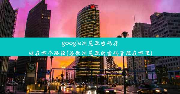 google浏览器密码存储在哪个路径(谷歌浏览器的密码管理在哪里)