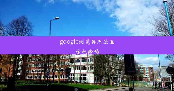 google浏览器无法显示校验码