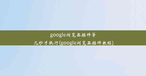 google浏览器插件等几秒才执行(google浏览器插件教程)