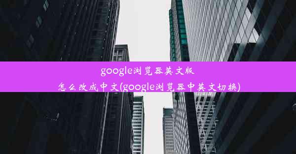 google浏览器英文版怎么改成中文(google浏览器中英文切换)