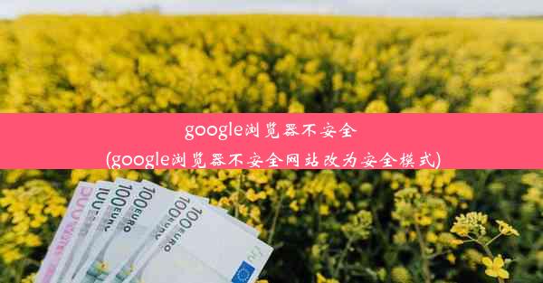 google浏览器不安全(google浏览器不安全网站改为安全模式)