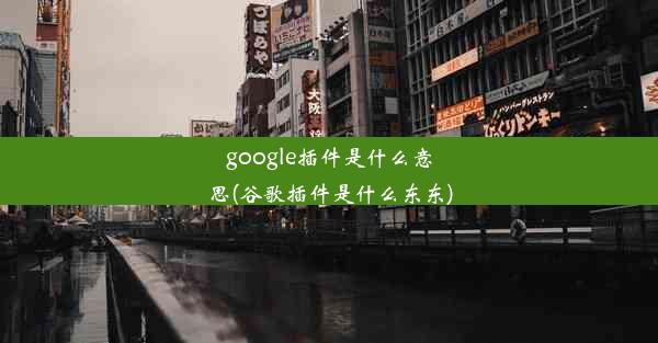 google插件是什么意思(谷歌插件是什么东东)