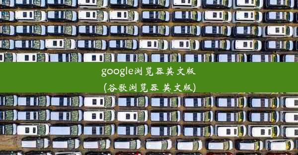 google浏览器英文版(谷歌浏览器 英文版)