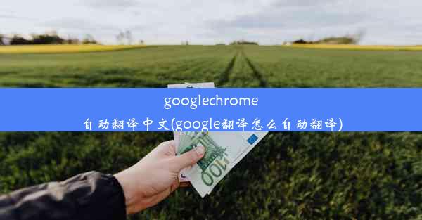 googlechrome自动翻译中文(google翻译怎么自动翻译)