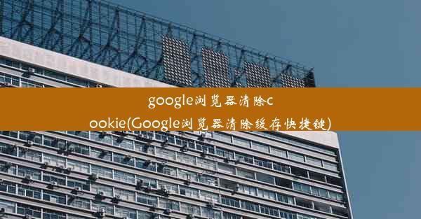 google浏览器清除cookie(Google浏览器清除缓存快捷键)