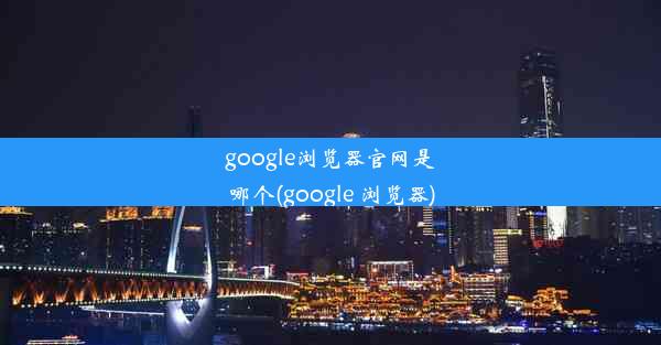 google浏览器官网是哪个(google 浏览器)