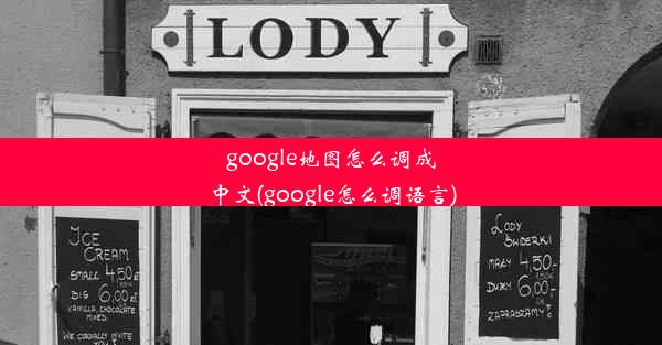 google地图怎么调成中文(google怎么调语言)