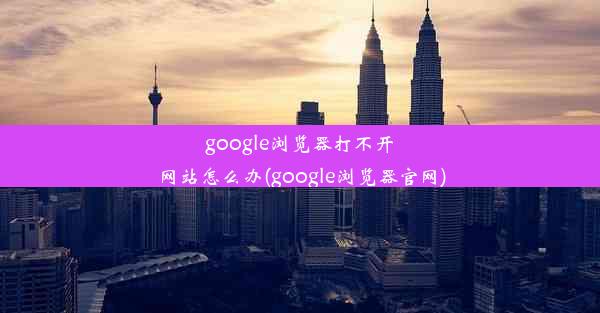 google浏览器打不开网站怎么办(google浏览器官网)