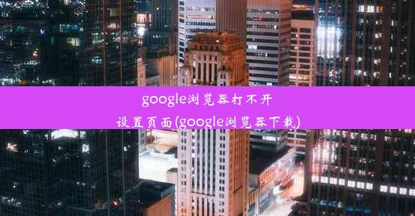 google浏览器打不开设置页面(google浏览器下载)