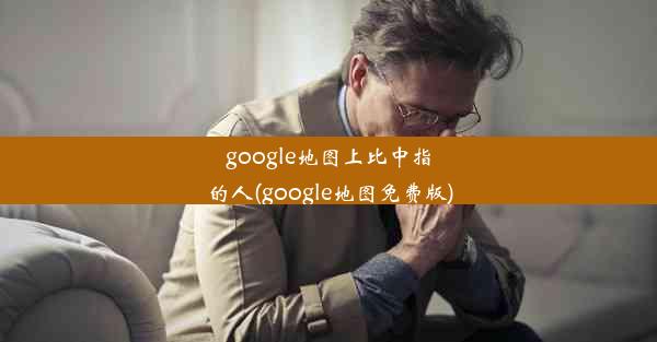 google地图上比中指的人(google地图免费版)