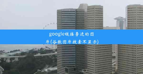 google链接旁边的图片(谷歌图片搜索不显示)