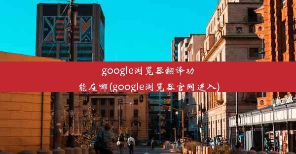 google浏览器翻译功能在哪(google浏览器官网进入)