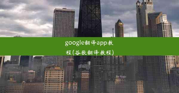 google翻译app教程(谷歌翻译教程)