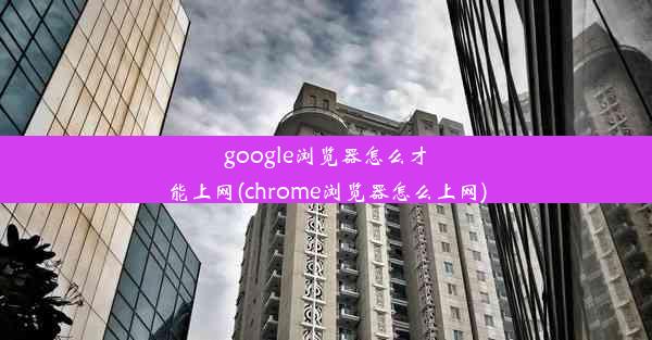 google浏览器怎么才能上网(chrome浏览器怎么上网)