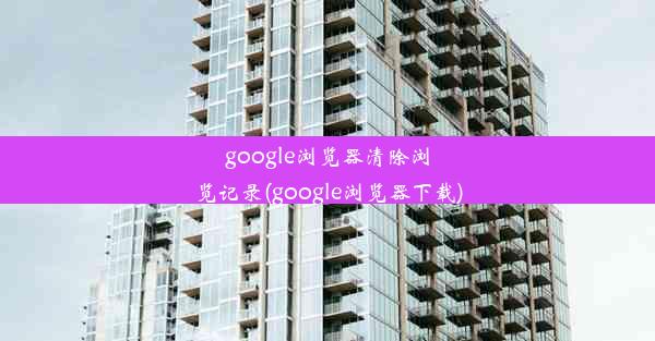 google浏览器清除浏览记录(google浏览器下载)