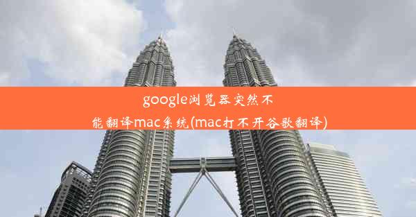 google浏览器突然不能翻译mac系统(mac打不开谷歌翻译)