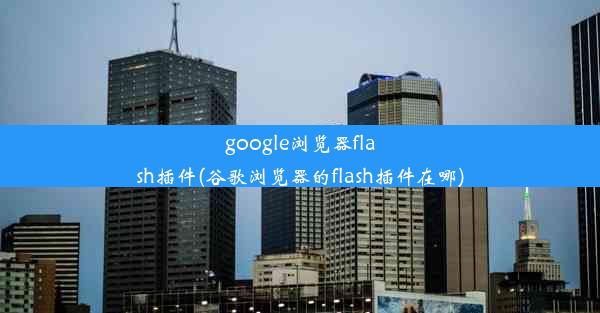 google浏览器flash插件(谷歌浏览器的flash插件在哪)