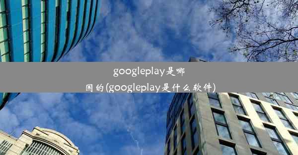 googleplay是哪国的(googleplay是什么软件)