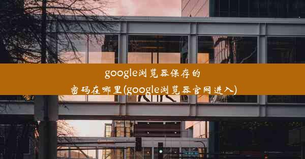 google浏览器保存的密码在哪里(google浏览器官网进入)