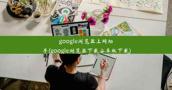 google浏览器上网助手(google浏览器下载安卓版下载)