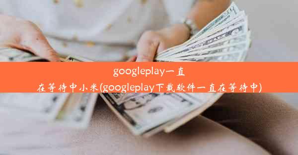 googleplay一直在等待中小米(googleplay下载软件一直在等待中)