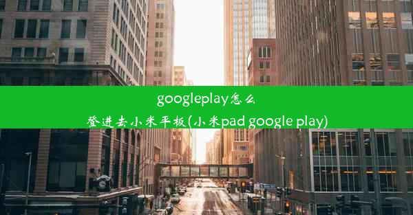 googleplay怎么登进去小米平板(小米pad google play)