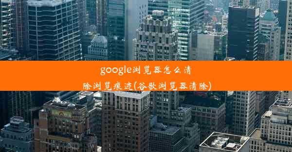 google浏览器怎么清除浏览痕迹(谷歌浏览器清除)