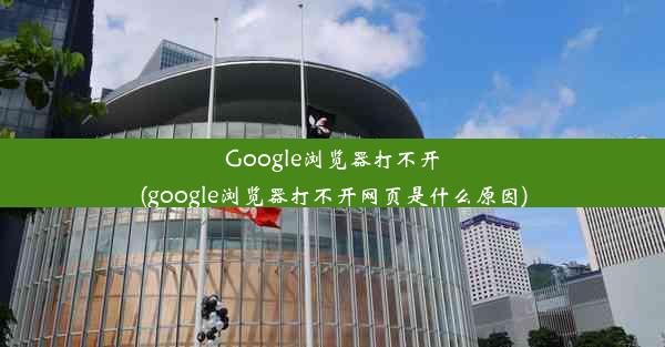 Google浏览器打不开(google浏览器打不开网页是什么原因)