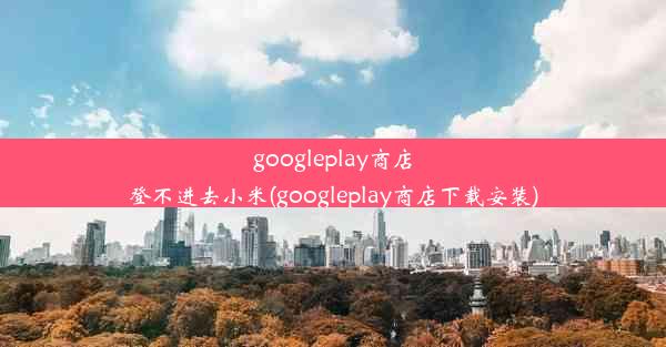 googleplay商店登不进去小米(googleplay商店下载安装)