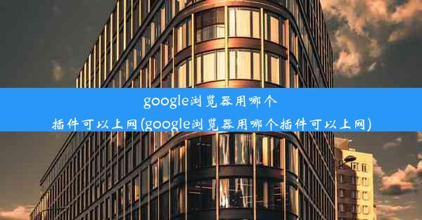 google浏览器用哪个插件可以上网(google浏览器用哪个插件可以上网)