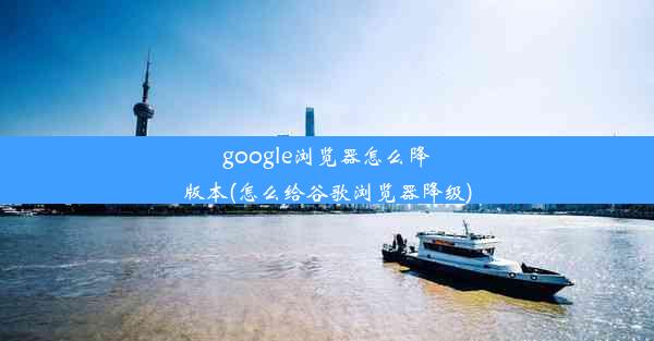 google浏览器怎么降版本(怎么给谷歌浏览器降级)