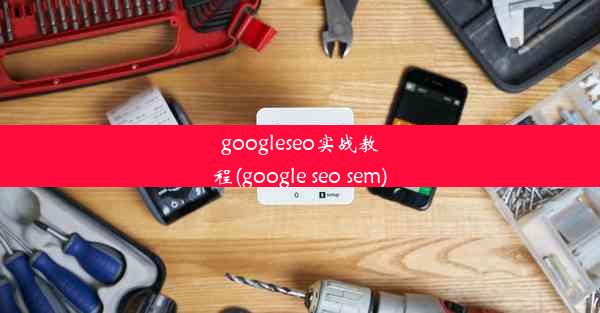 googleseo实战教程(google seo sem)