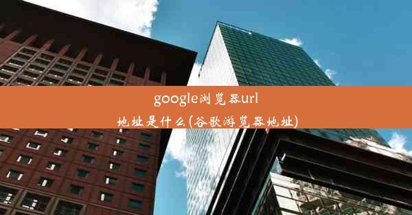 google浏览器url地址是什么(谷歌游览器地址)