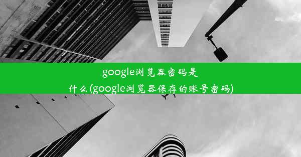 google浏览器密码是什么(google浏览器保存的账号密码)