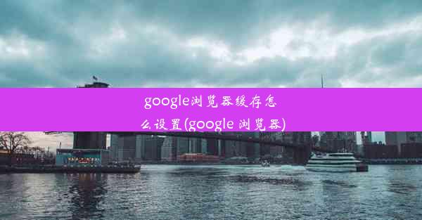 google浏览器缓存怎么设置(google 浏览器)