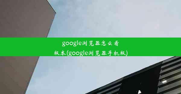 google浏览器怎么看版本(google浏览器手机版)