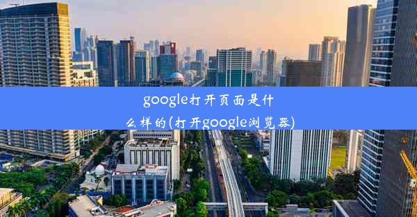 google打开页面是什么样的(打开google浏览器)