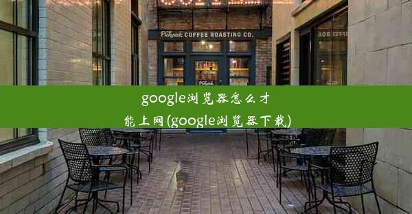 google浏览器怎么才能上网(google浏览器下载)