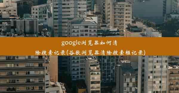 google浏览器如何清除搜索记录(谷歌浏览器清除搜索框记录)